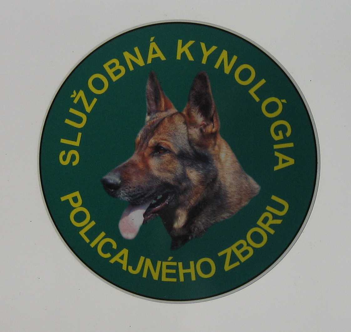 Rex v školskom klube 1.jpg
